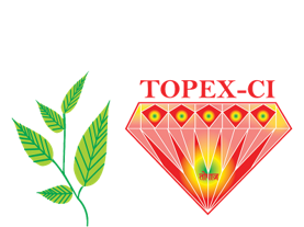 Topex Group